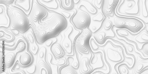 Topographic map. Geographic mountain relief. Abstract lines bac lines background. Contour maps. Vector illustration  white topography contour lines map isolated on white background.