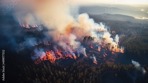 Forest in fire view from helicopter, jigh resolution 