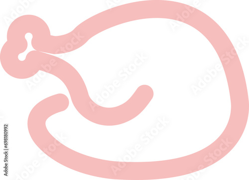 Wallpaper Mural chicken and turkey icon
 Torontodigital.ca