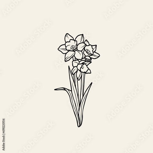 Line art daffodil flower Illustration