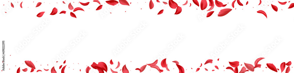 Pink Petal Summer Vector White Panoramic