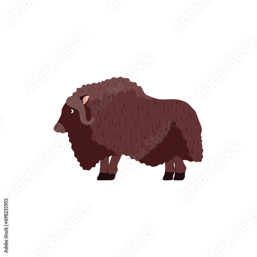 Muskox tundra animal full body isolated vector illustration.