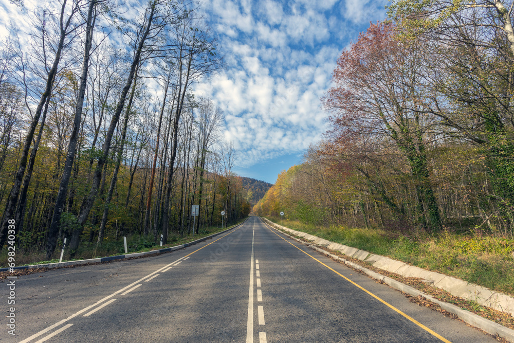 Fototapeta premium Road in the mountains, a picturesque view of the road among the trees against the sky in the autumn in the mountains.