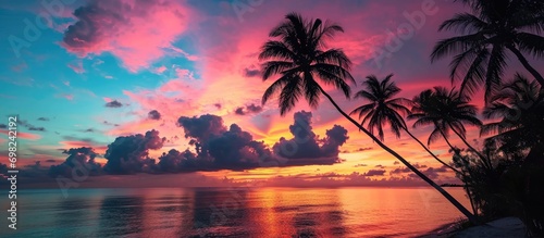 Stunning sunset in the Bahamas with palm tree silhouettes against a colorful sky.
