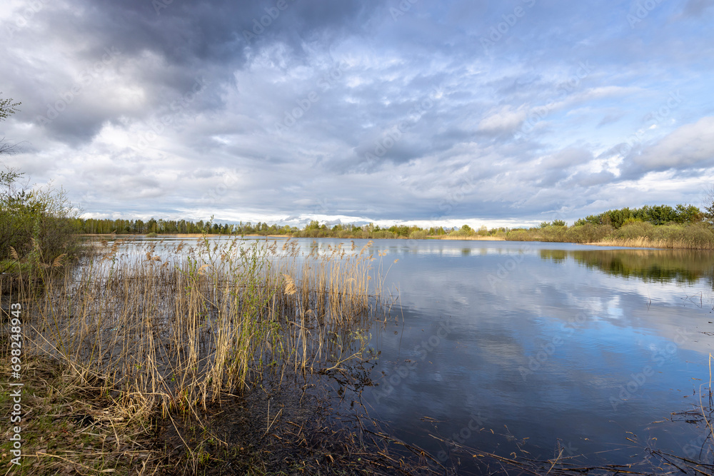 Spring landscape with a pond and sky. Last year's dry grass in the foreground, a strip of forest on the horizon. clouds reflected in the water