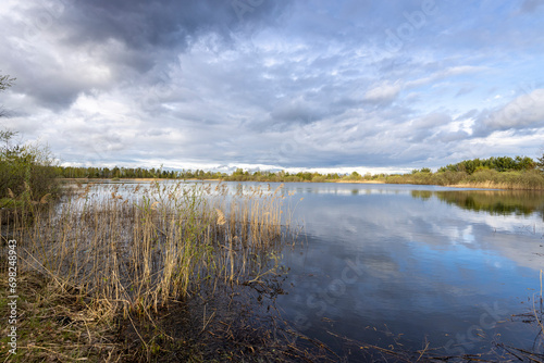 Spring landscape with a pond and sky. Last year's dry grass in the foreground, a strip of forest on the horizon. clouds reflected in the water