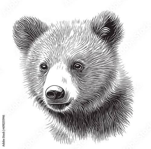 Cute animal bear cub face hand drawn sketch in doodle style illustration