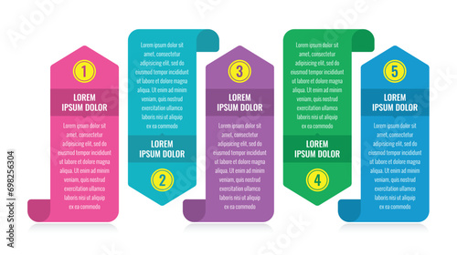 ribbon, paper, ribbon infographic template. presentation, catalog, annual report, business, web information template. infographic template with five options arrow and curly
