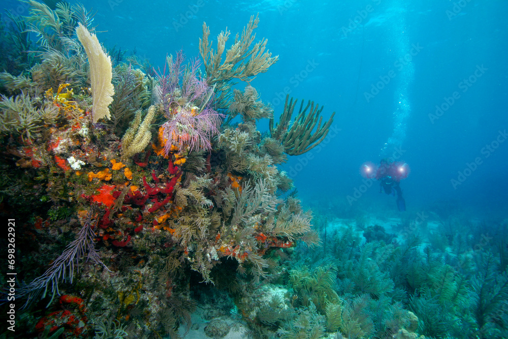 Underwater photographer on Molasses Reef off Key Largo in the Florida