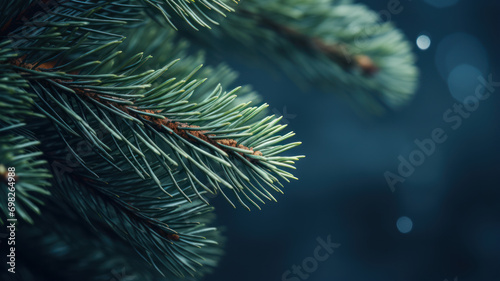 Close-Up Pine Tree Twig in Light Navy and Gray