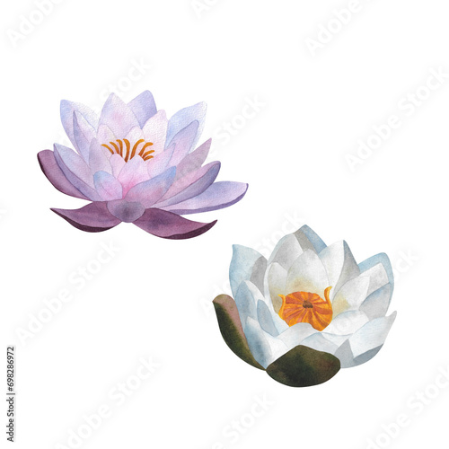 Watercolor white purple waterlily Delicate floral illustration isolated aquatic flowers for greeting card postcard spa yoga logo invitation Mother's day Women's day 2024 birthday Botanical Water plant