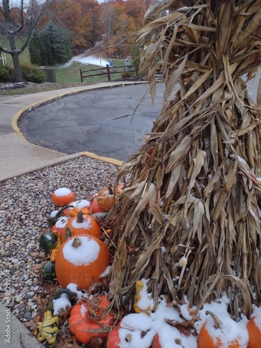 fall day with snow on the pumpkin