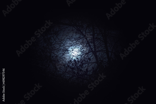 spooky silhouette of crows on tree branches with moon shining among the thin clouds at dark sky
