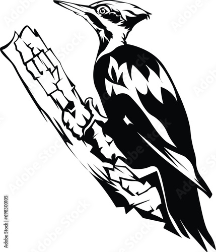 Cartoon Black and White Isolated Illustration Vector Of A Woodpecker Bird Holding On To A Branch