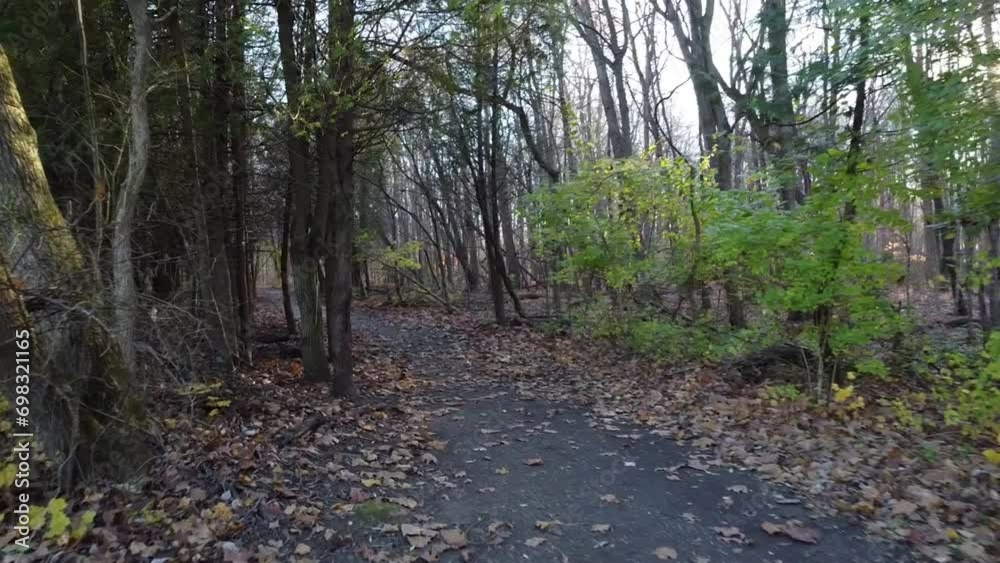 Drone shot of a hiking trail between trees and plants covered with fallen autumn leaves in the park Drone shot of a hiking trail between trees and plants covered with fallen autumn leaves in the park