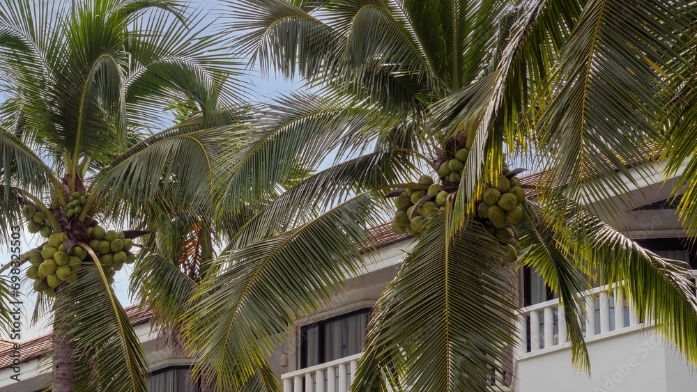 Fototapeta premium a building with many palm trees and a white car parked in front