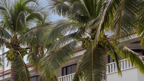 a building with many palm trees and a white car parked in front