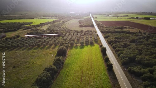 High drone footage of a road passing through cultivated green fields at sunset in Tithorea, Greece photo