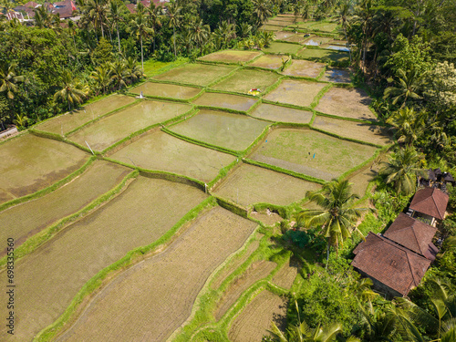 Aerial view of rice fields near Ubud, Bali, Indonesia