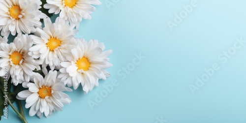Spring flowers chrysanthemum. Bouquet of chrysanthemum flowers on pastel blue background. Valentine s Day  Easter  Birthday  Happy Women s Day  Mother s Day. Flat lay  top view  copy space for text