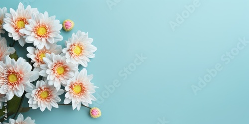Spring flowers chrysanthemum. Bouquet of chrysanthemum flowers on pastel blue background. Valentine's Day, Easter, Birthday, Happy Women's Day, Mother's Day. Flat lay, top view, copy space for text