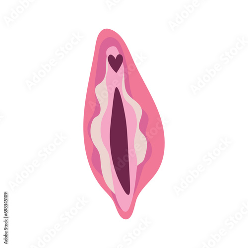 Pink female vulva on white background
