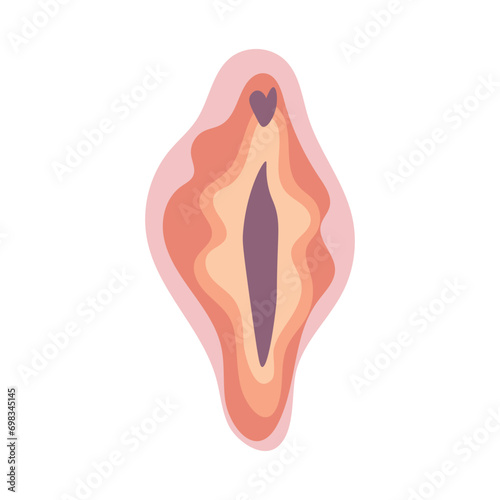 Female vulva on white background
