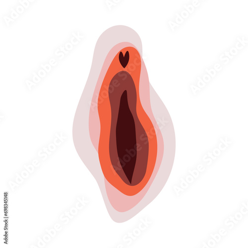 Female vulva on white background