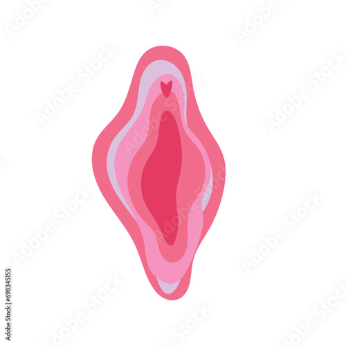 Pink female vulva on white background