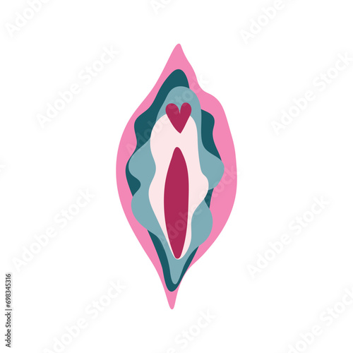 Female vulva on white background