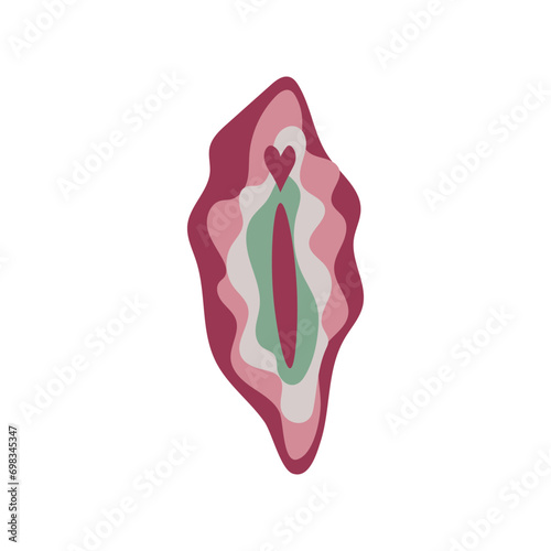 Female vulva on white background