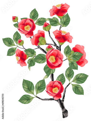 椿の花（リアルタッチな水彩画）