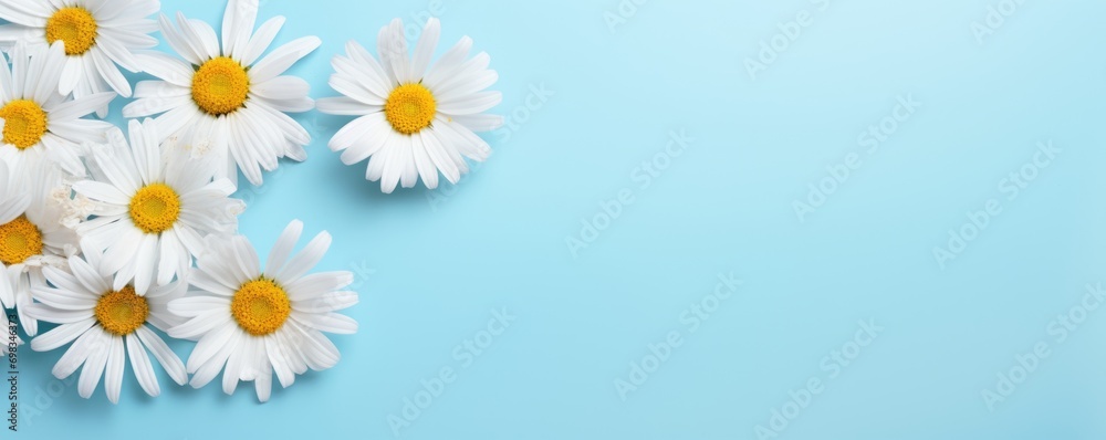 Spring flowers chamomile. Bouquet of flowers on pastel background. Valentine's Day, Easter, Birthday, Happy Women's Day, Mother's Day. Flat lay, top view, copy space for text
