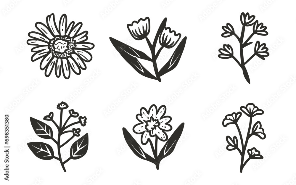 vector set of botanical leaf doodle wildflower line art, illustration