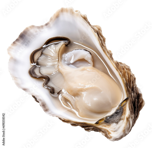 Fresh opened oyster isolated.