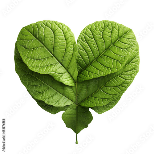 Green leaf 3D Heart Shape Isolated