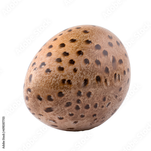 Brown quail egg, isolated on transparent background, PNG, 300 DPI