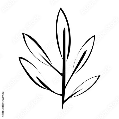 Pflanze