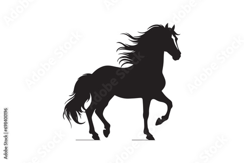 Vector pony horse silhouette © Rokeyadesigner