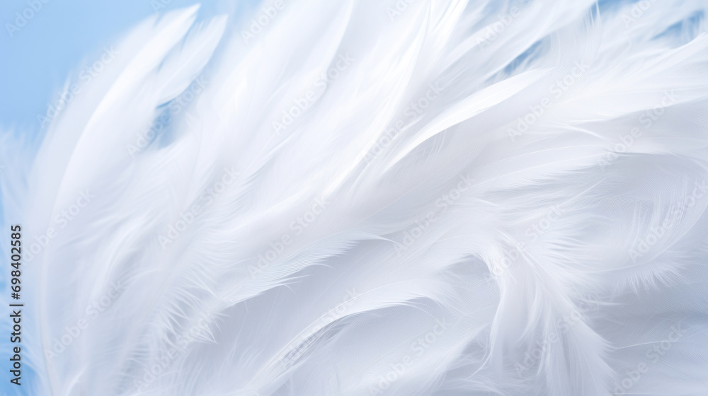 Soft white feathers in a close-up, creating a delicate and serene texture with a sense of lightness and purity.