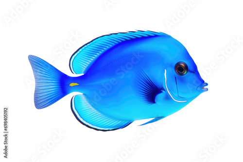 Exotic Blue Tang Fish Design Isolated on Transparent Background