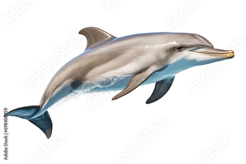 Aquatic Beauty: Dolphin Leap Isolated on Transparent Background © Yasir
