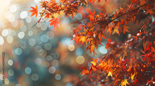 autumn season with red maple leaves with soft focus light and bokeh background
