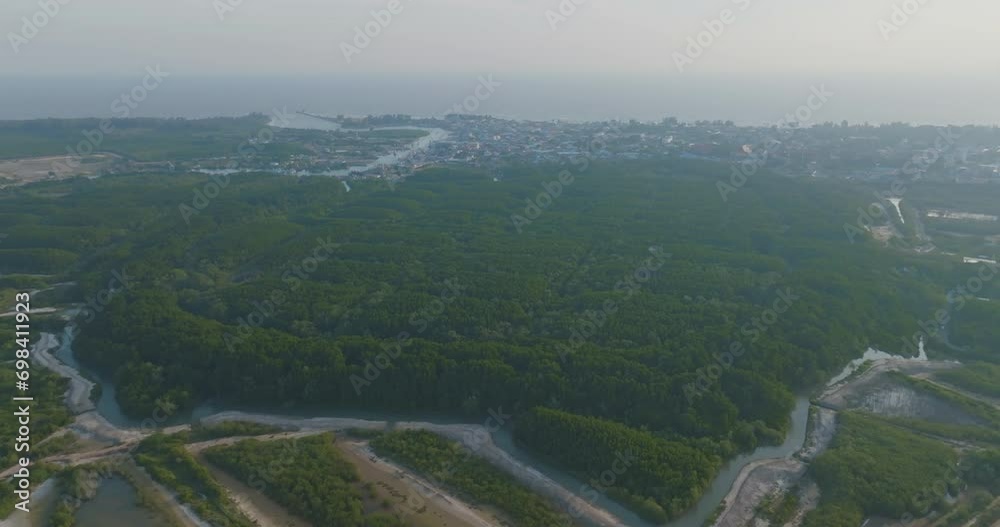 Aerial view mangrove in tropical rain forest river into sea bay ecology system nature background Aerial view mangrove in tropical rain forest river into sea bay ecology system nature background