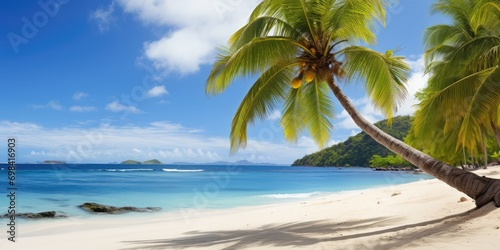 Scenic Coral Beach With Palm Tree  Palm tree On Coral Beach