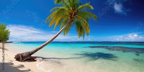 Scenic Coral Beach With Palm Tree, Palm tree On Coral Beach