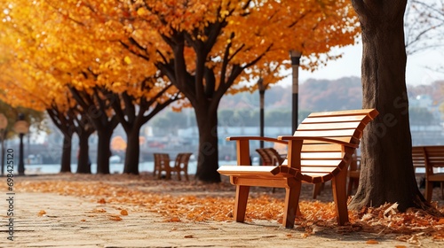 bench in autumn photo