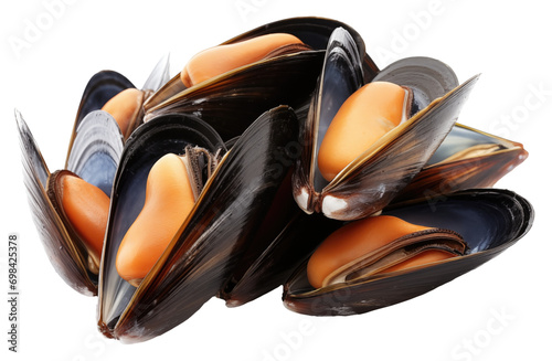 Steamed mussels isolated.