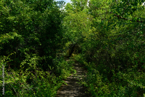 The paths on the banks of the Loire in Europe, in France, in Burgundy, in Nievre, in Pouilly sur Loire, towards Nevers, in summer, on a sunny day. photo