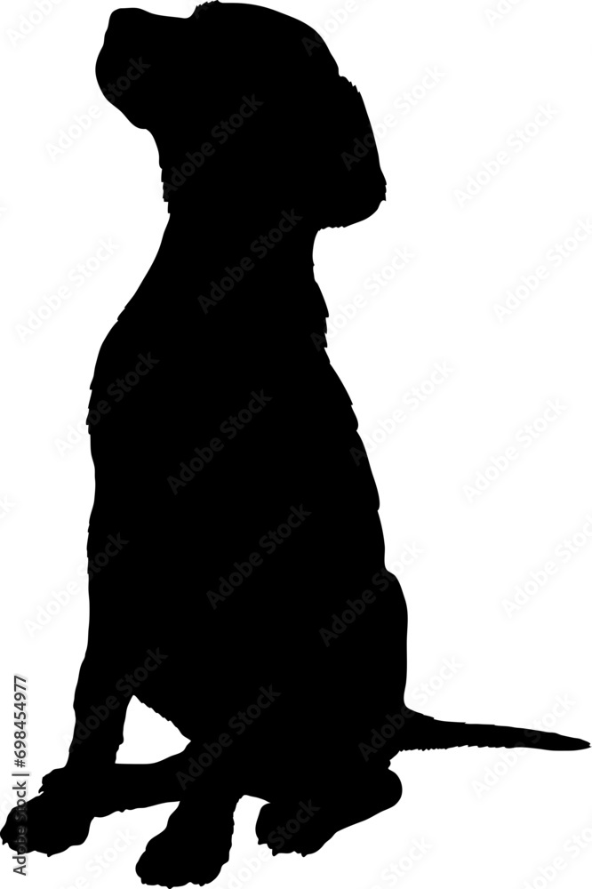 Dog sitting silhouette Breeds Bundle Dogs on the move. Dogs in different poses.
The dog jumps, the dog runs. The dog is sitting. The dog is lying down. The dog is playing
